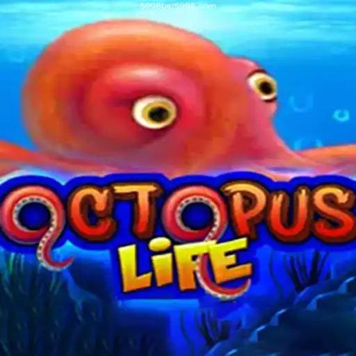 Exploring the Undersea Adventure of OctopusLife